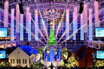 A Capitol Christmas from the Gaylord 