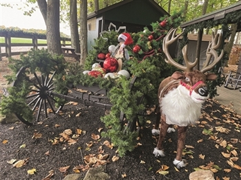 Christmas in the Woods 2026