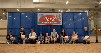 York State Fair 2026