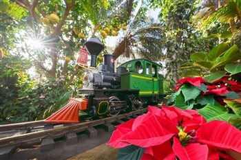 New York Botanical Gardens - Holiday Train Show