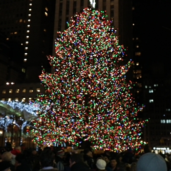 New York City - 2026