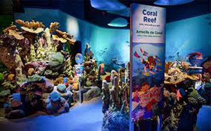 Coney Island & NY Aquarium 2023