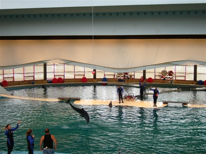 Baltimore Inner Harbor & Aquarium 2022